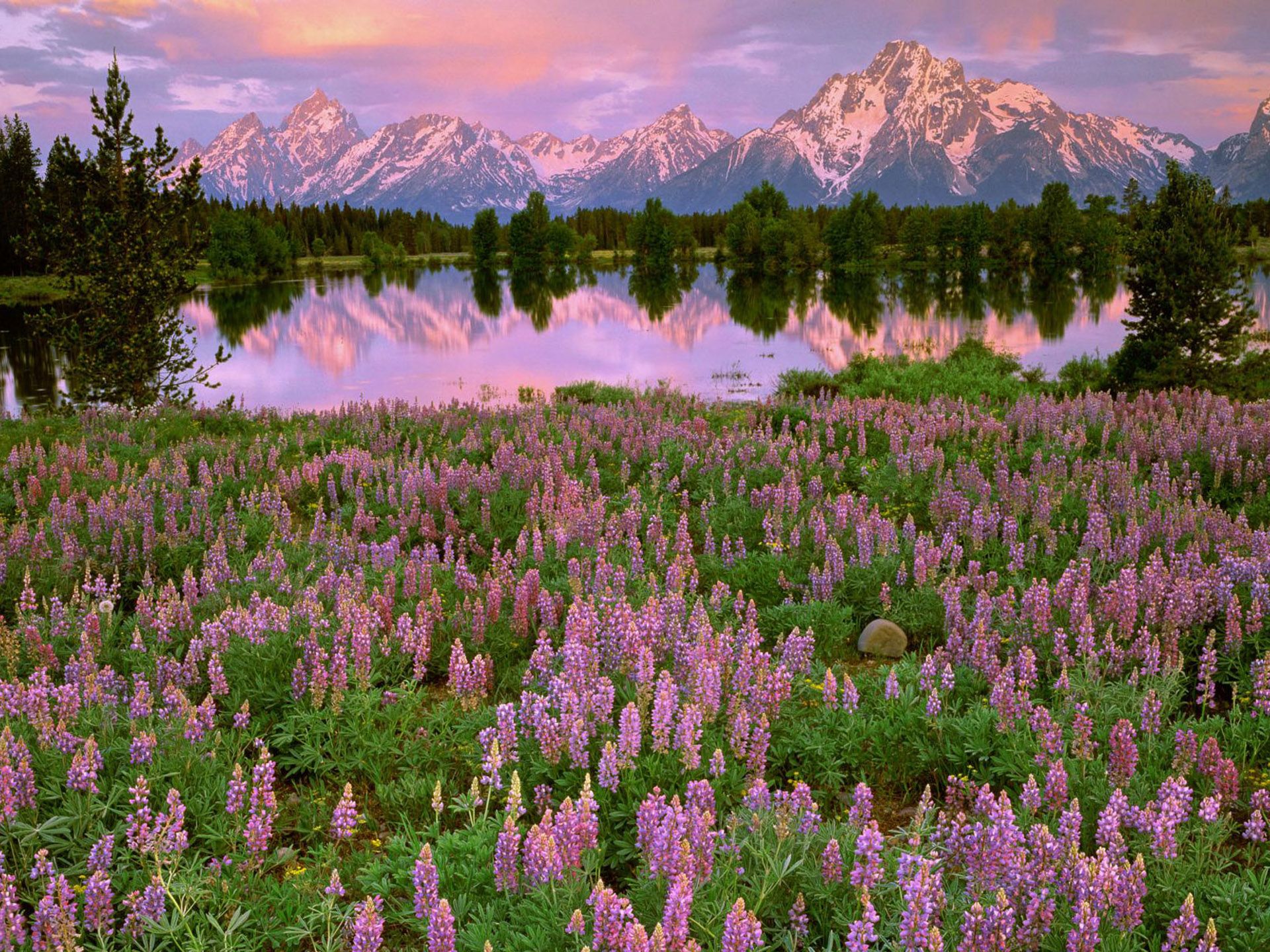 Grand-Teton-National-Park-United-States.jpg