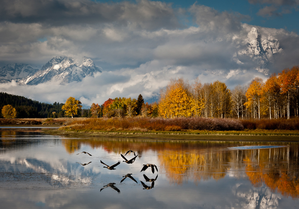 grand-teton-national-park-wyoming-usa-canadian-geese-canon-eos-5d-70-200mm-michael-horan.jpg