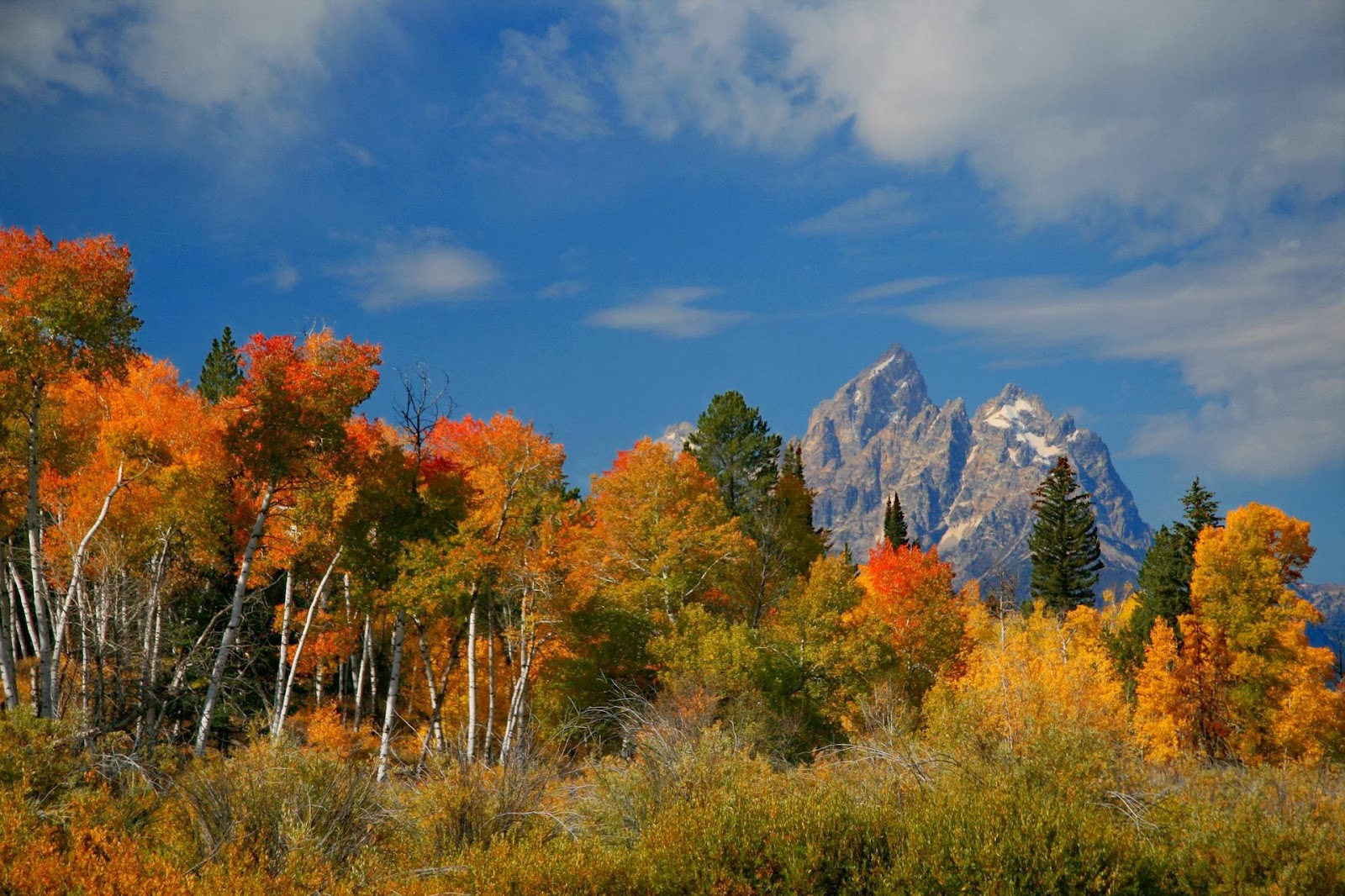 Grand Teton National Park Wyoming USA_6.jpg