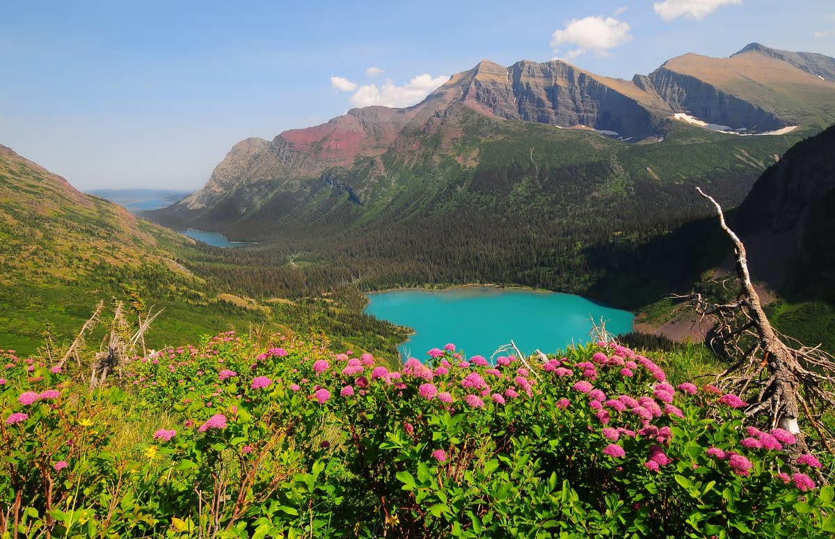 Grinnell Lake.jpg