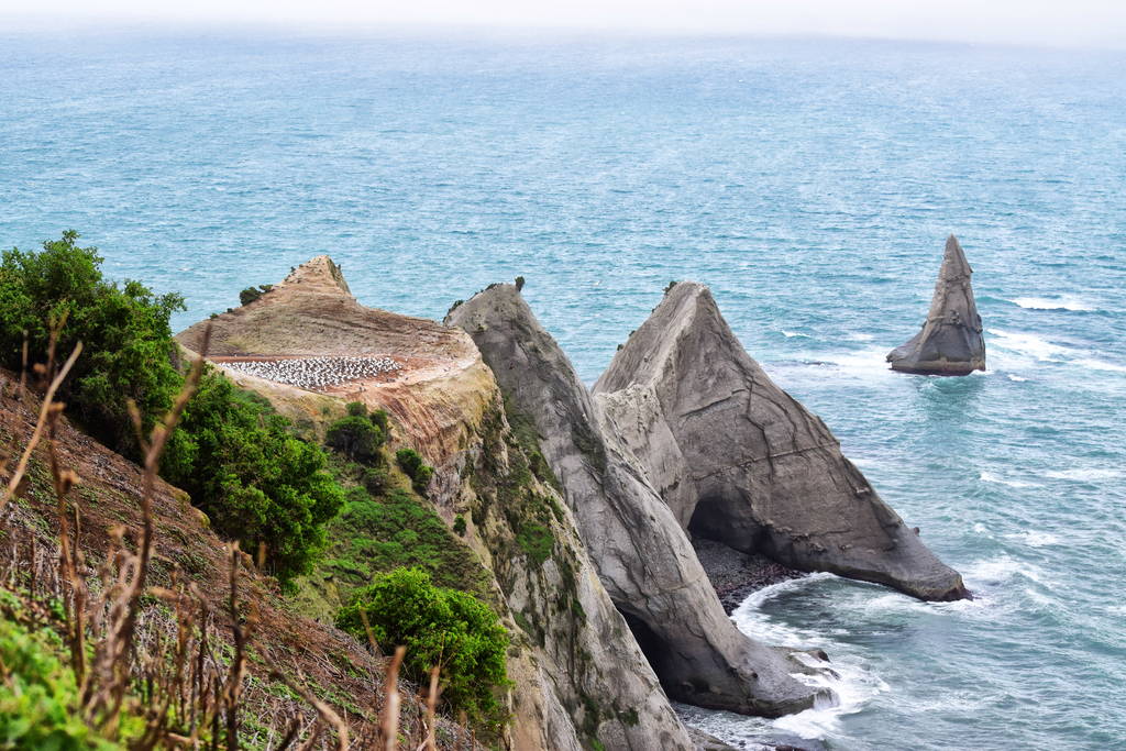 Hawkes-Bay-guide-cape-kidnappers_optimized.jpg