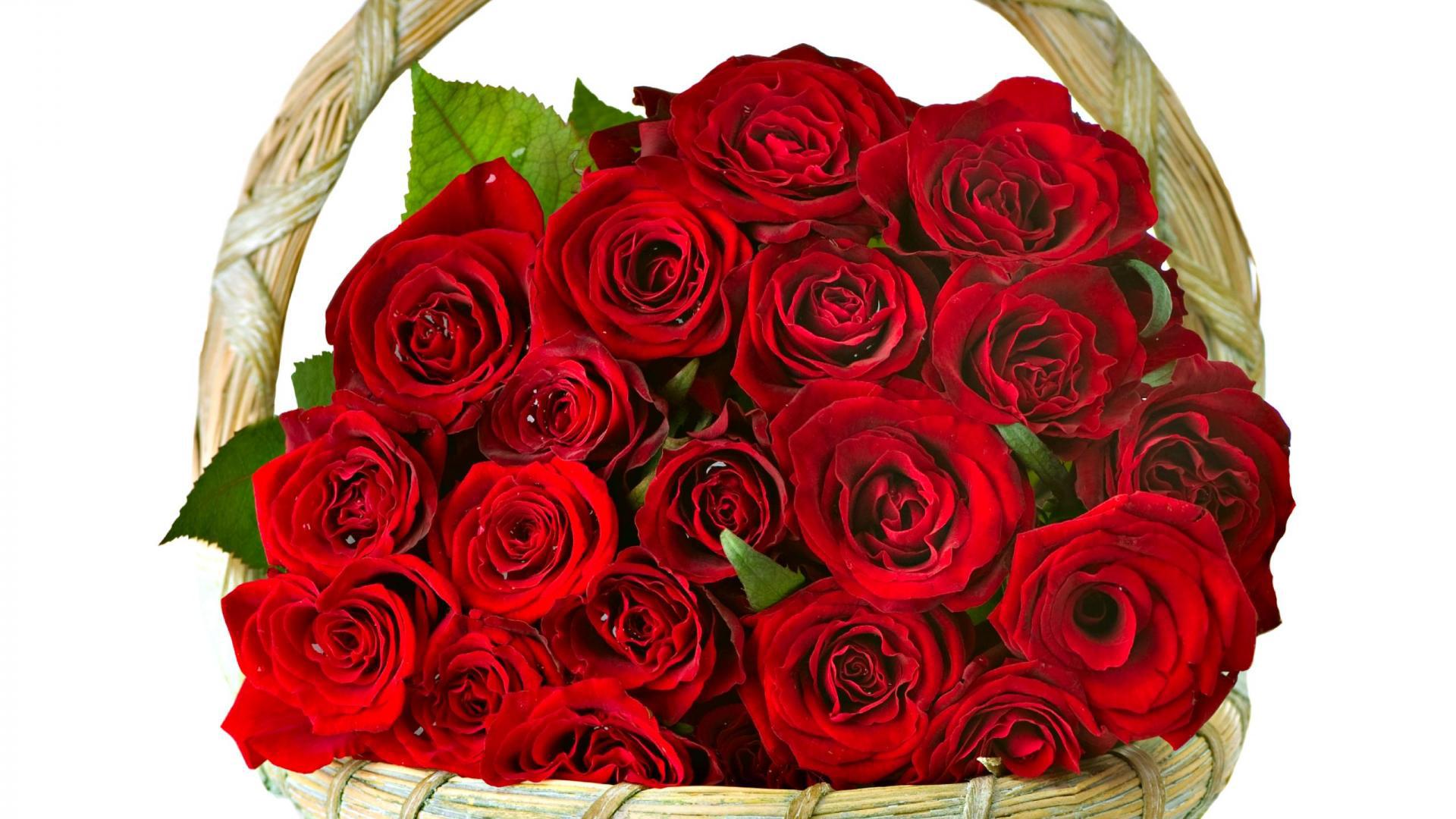 Holidays___International_Womens_Day_Red_roses_in_a_basket_as_a_gift_to_women_on_March_8_056473_.jpg