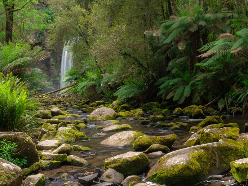 hopetoun-falls_gor_r_148326_1150x863.jpg