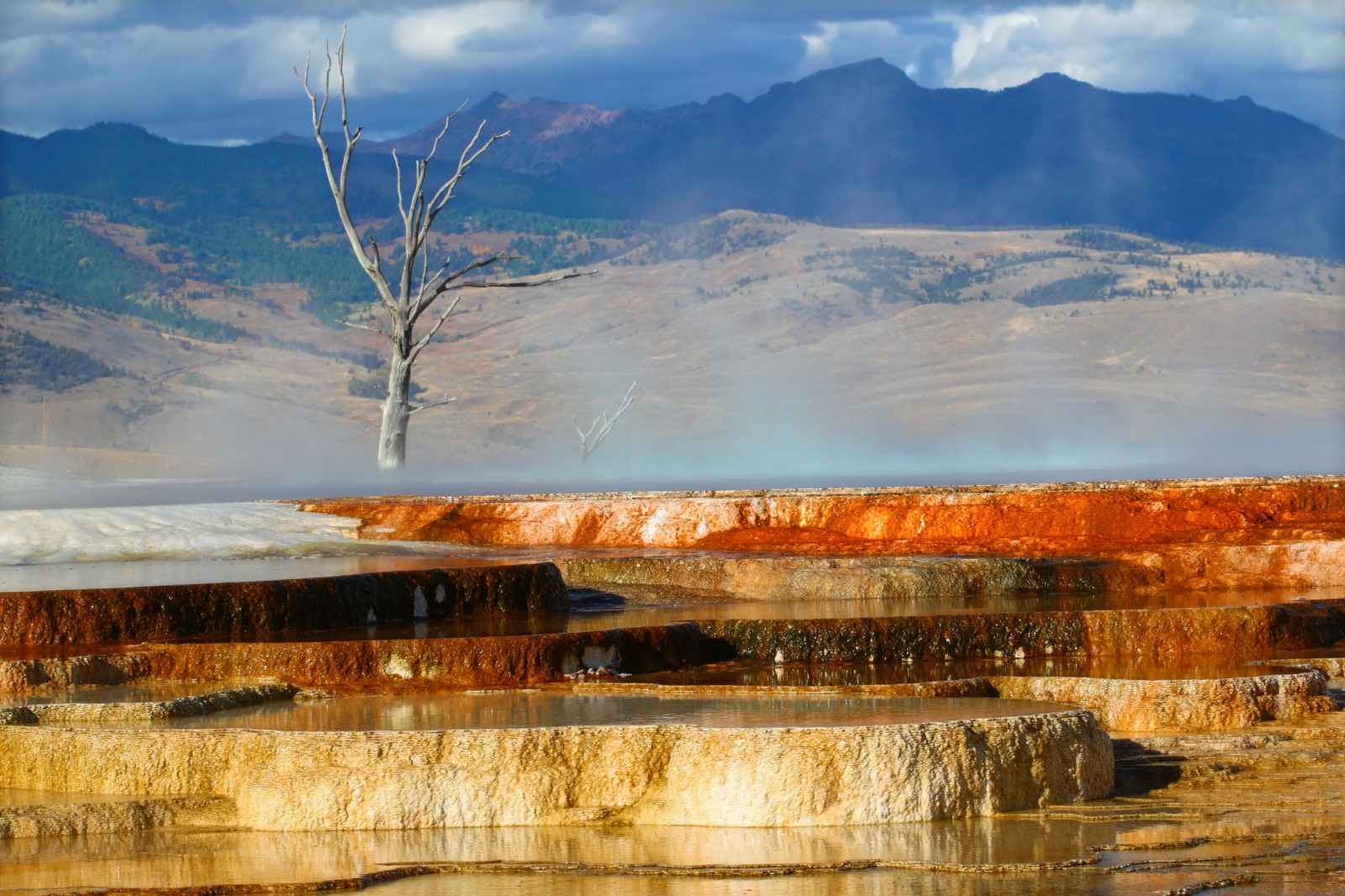 hot-waters-of-canary-spring-of-the-mammoth-hot-springs-in-yellowstone-national--1600x1066.jpg