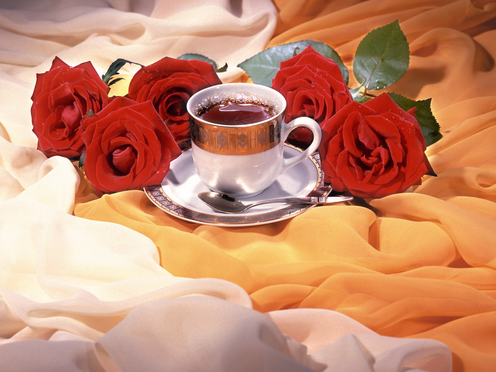 hot_roses_and_china_tea_cup.jpg