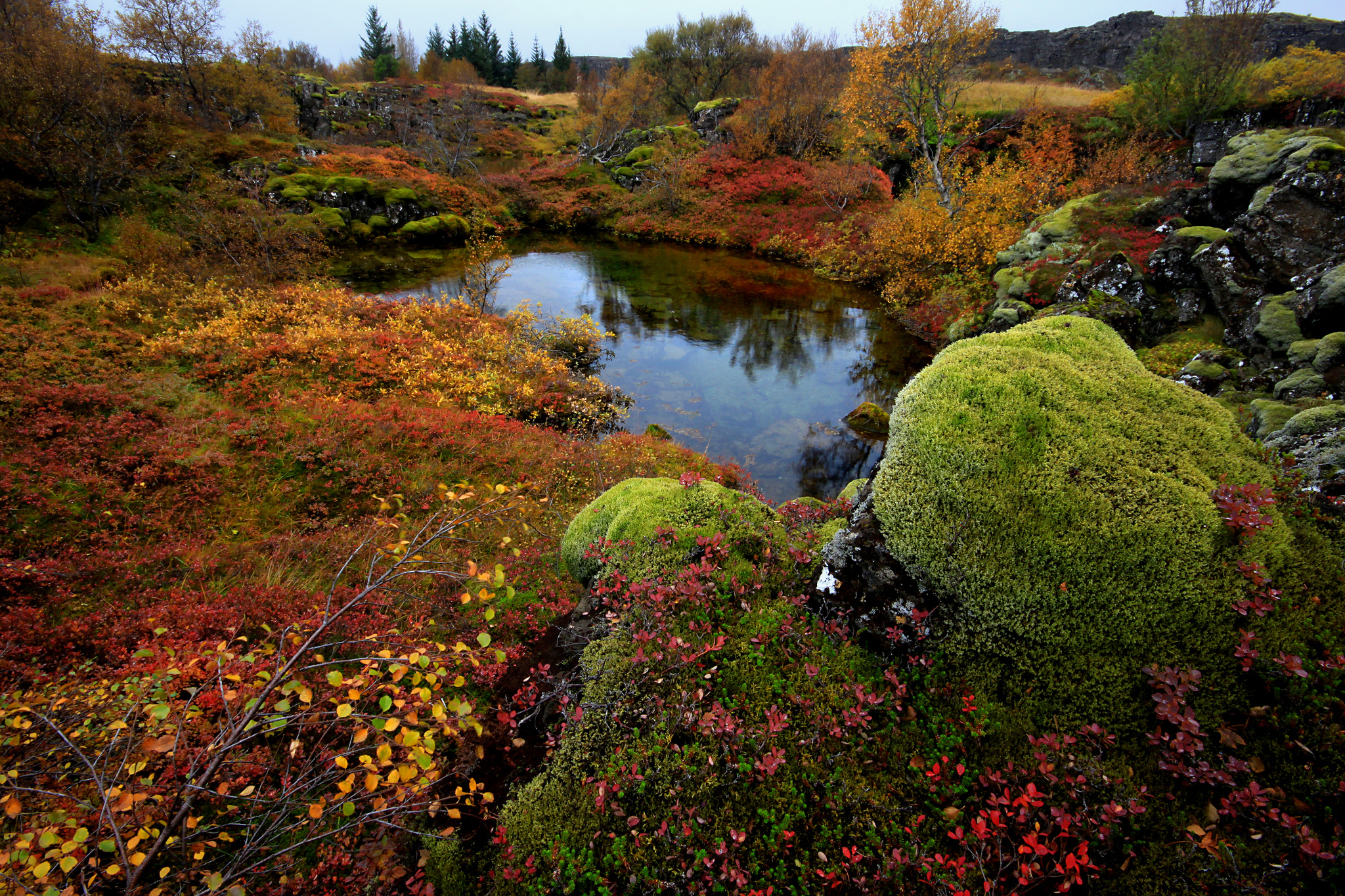 islandiya-national-park.jpg