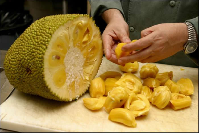 jackfruit-thaiskii-frukt.jpg