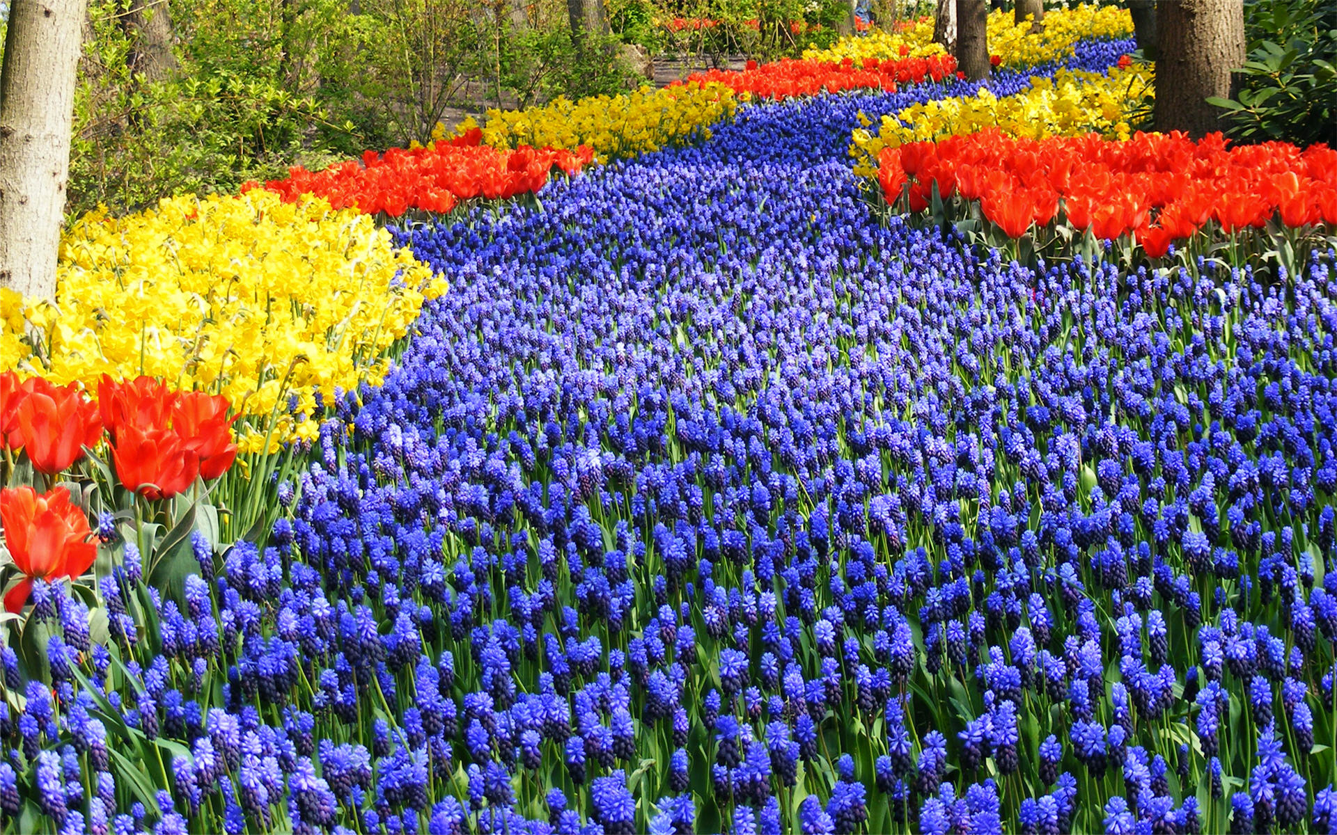 Keukenhof-Gardens-Wallpaper.jpg