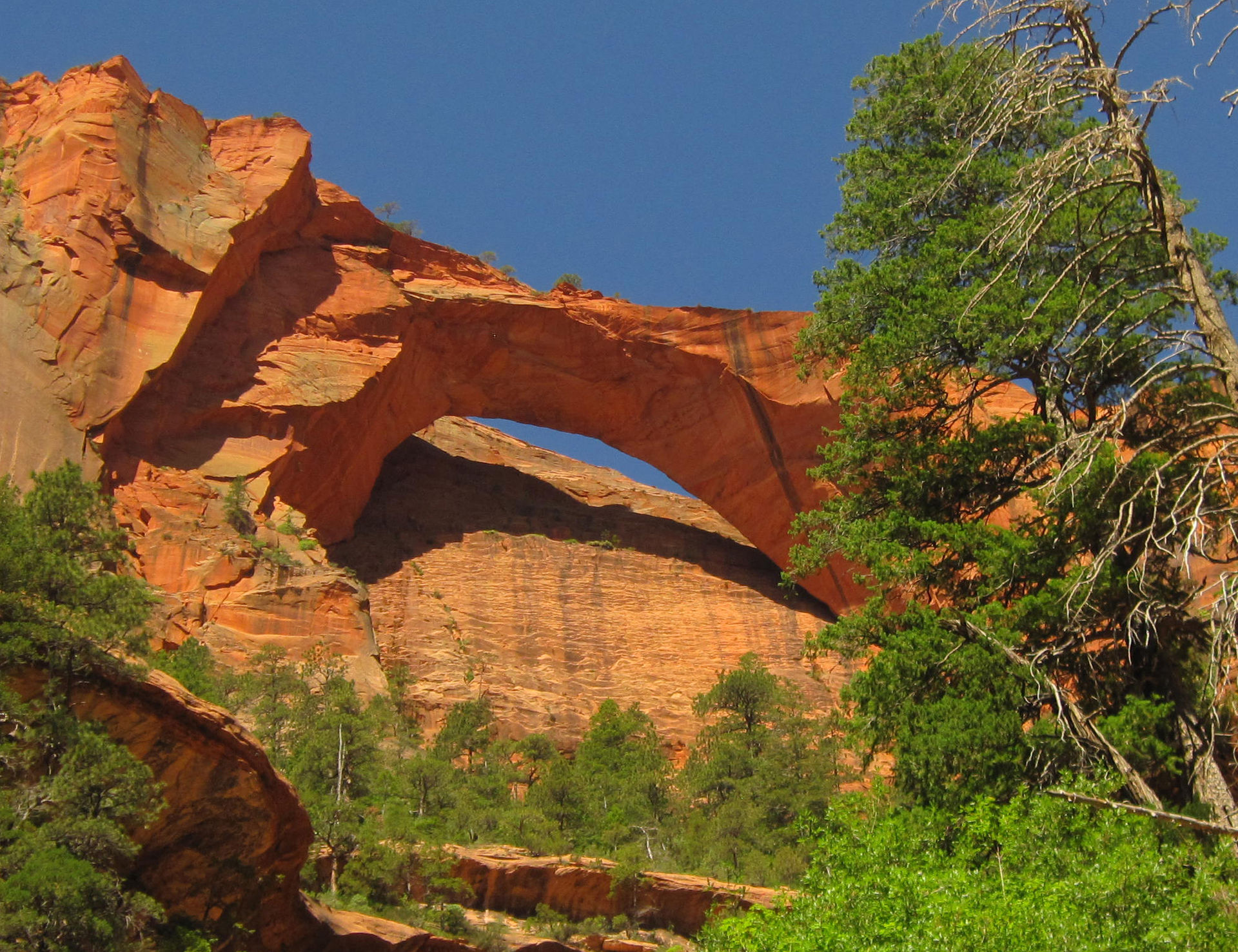 Kolob_Arch_3a.jpg