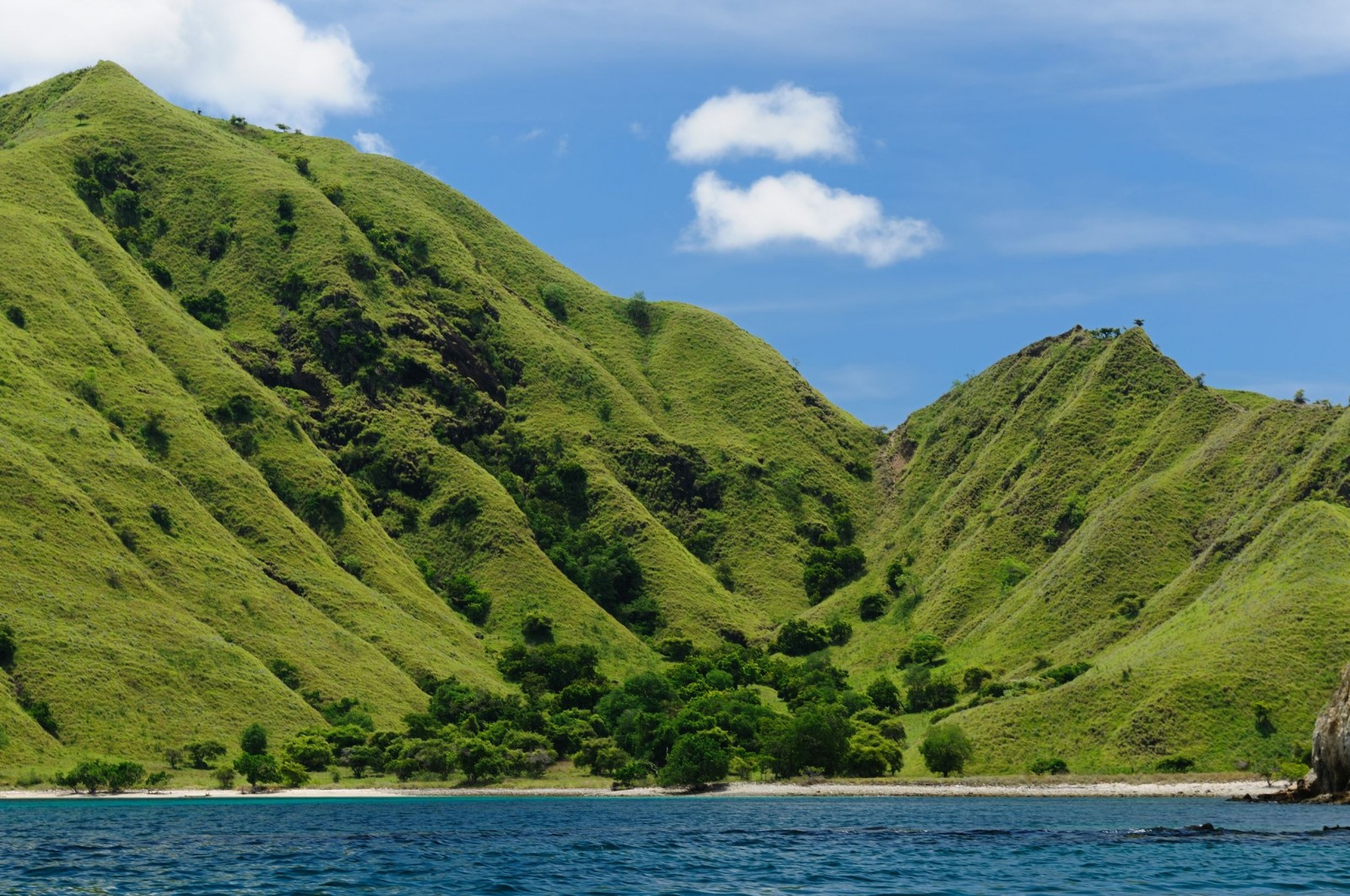 komodo-island-landscape.jpg