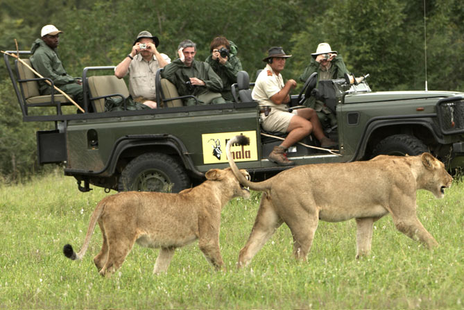 kruger-national-park-1.jpeg