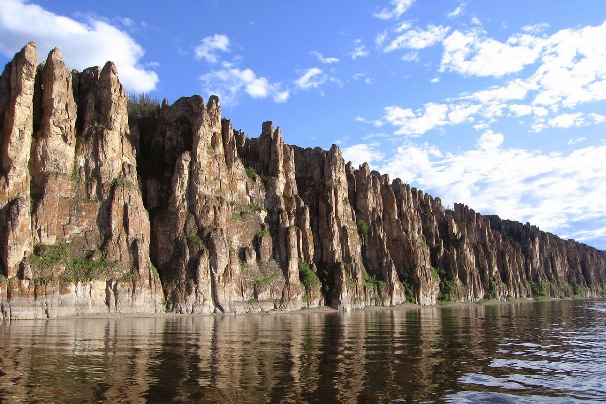 Lena-Stone-Forest.jpg