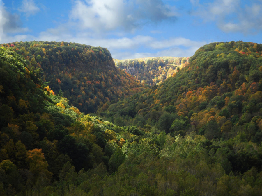 Letchworth_State_Park_by_CirienPhoenix.jpg