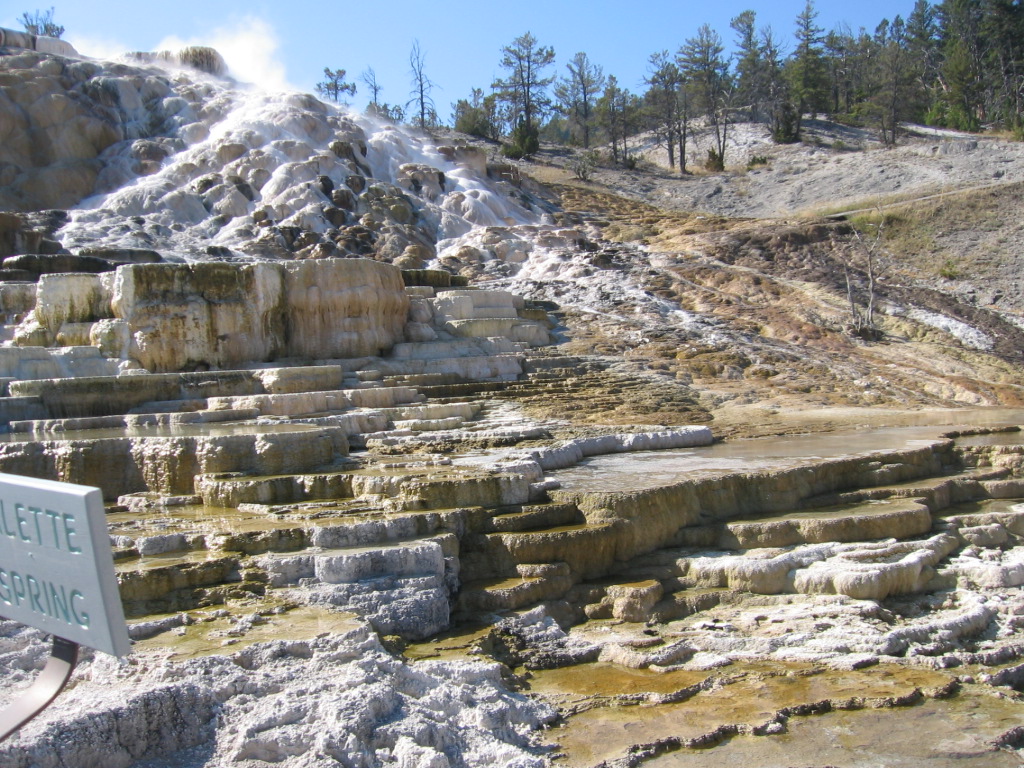 Mammoth-Hot-Springs-yellowstone-national-park-32580490-1024-768.jpg