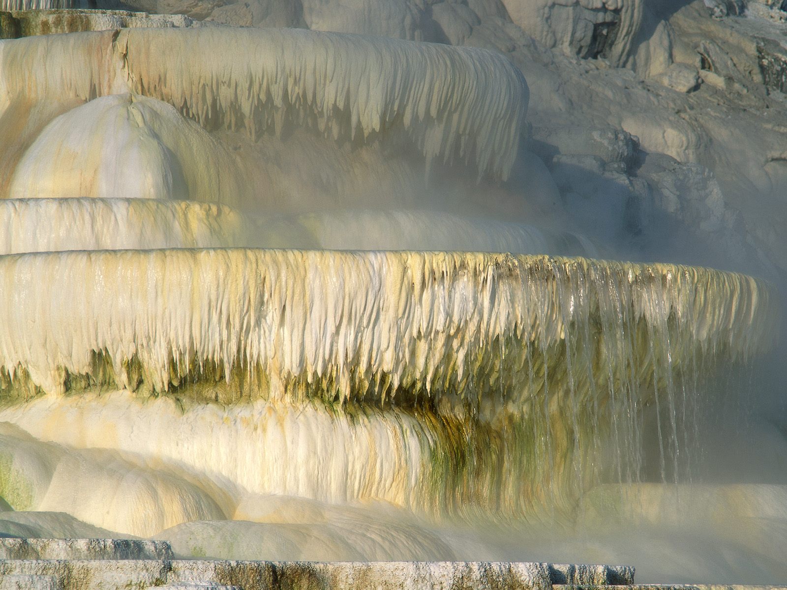 Mammoth Hot Springs, Yellowstone National Park, Wyoming.jpg