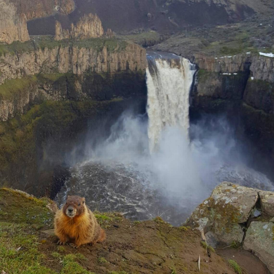 marmot falls.jpg