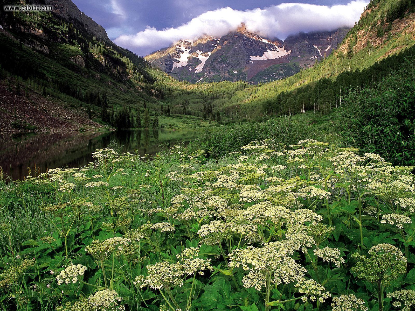 Maroon_Bells_White_River_National_Forest_Colorado.jpg