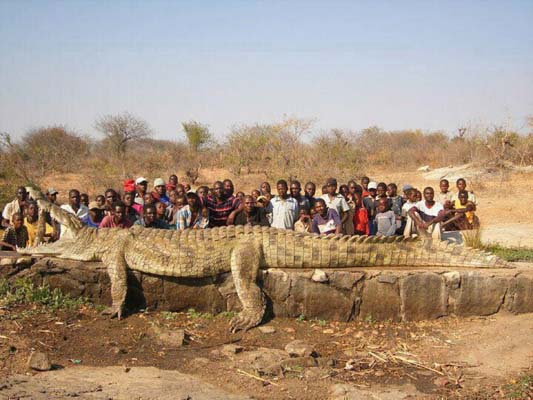 monster-crocodile_Angola.jpg