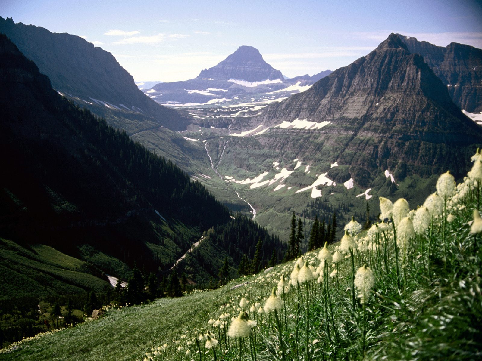 Mount-Reynolds,-Glacier-National-Park,-Montana.jpg