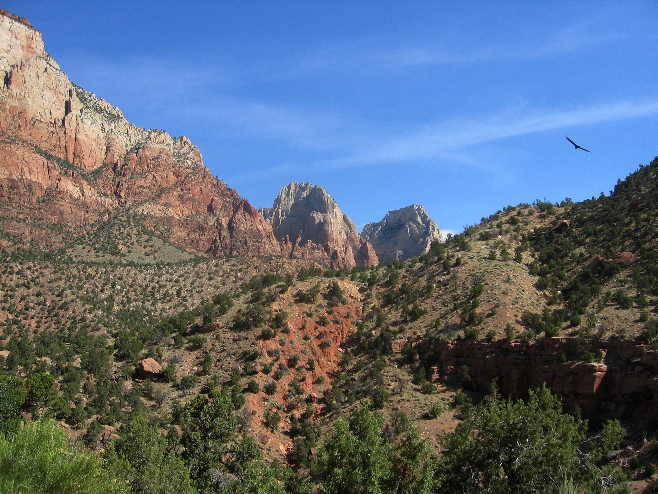 Mountains_in_Zion_National_Park,_Utah.jpg