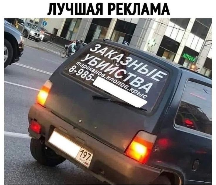 N7xZo7QKlSo-1_1.jpg