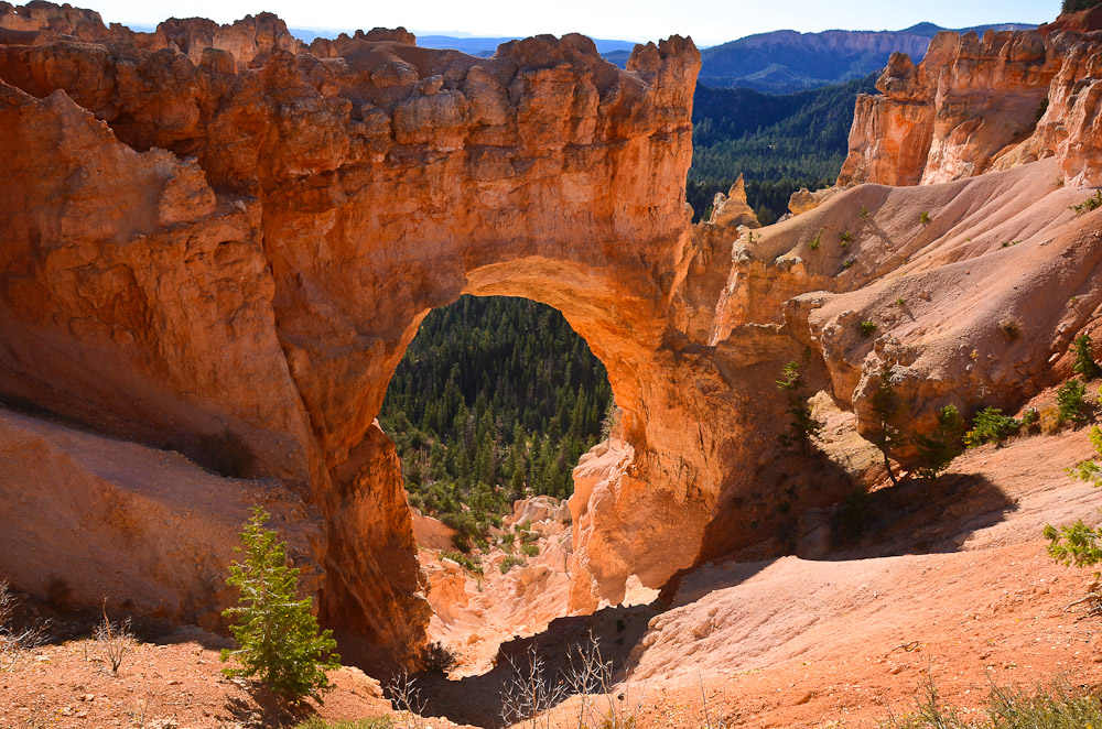 Natural Bridge 01 - Bryce Canyon NP, Utah.jpg