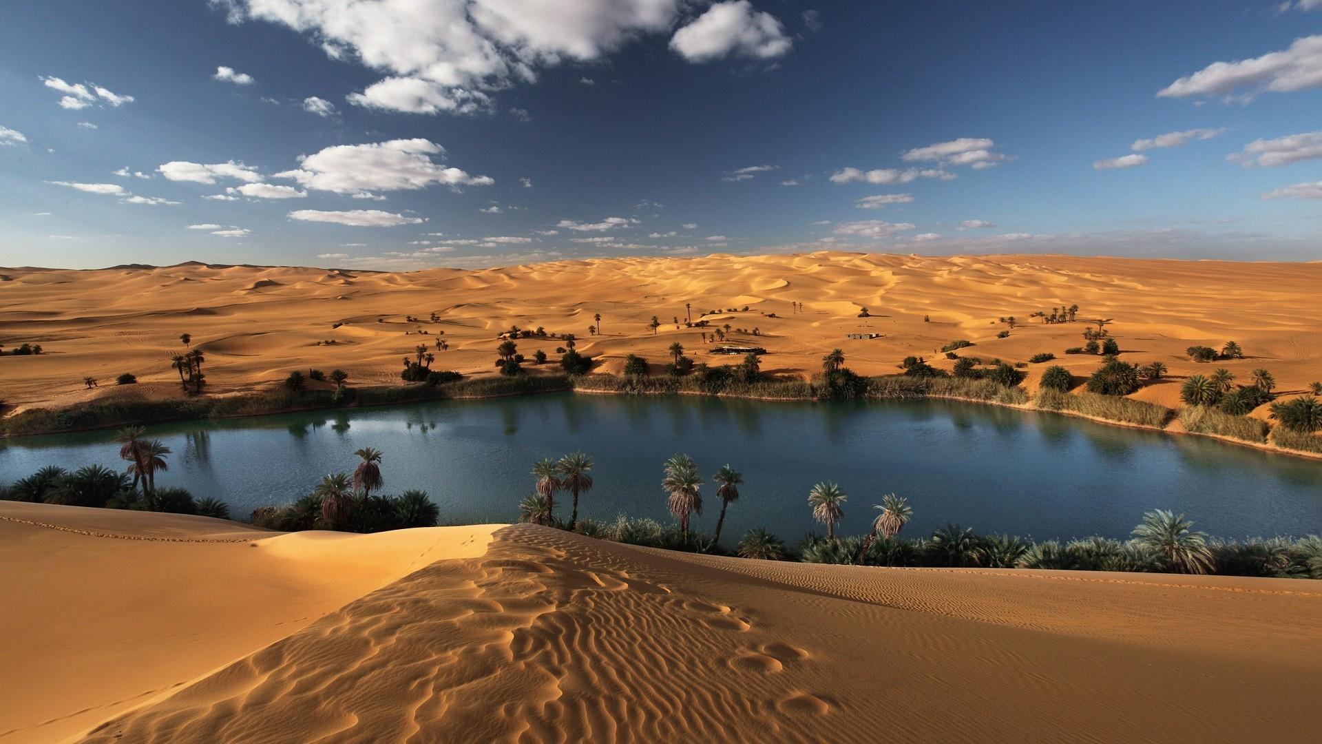 oasis_in_the_libyan_desert.jpg