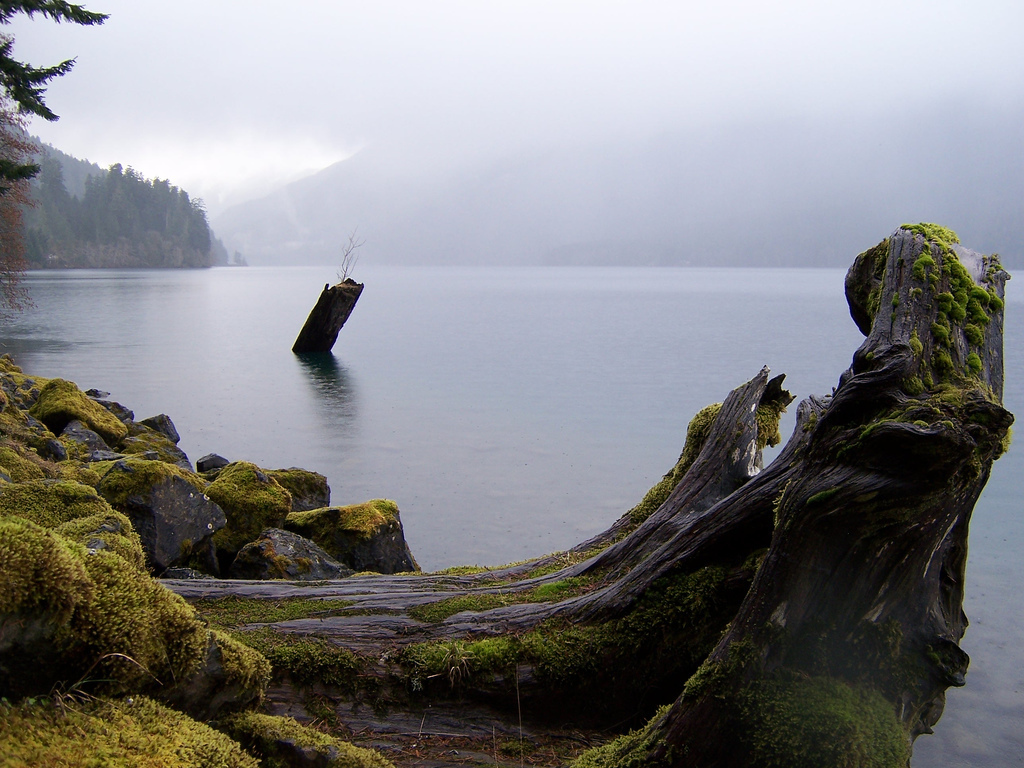 Olympic National Park - 19.jpg