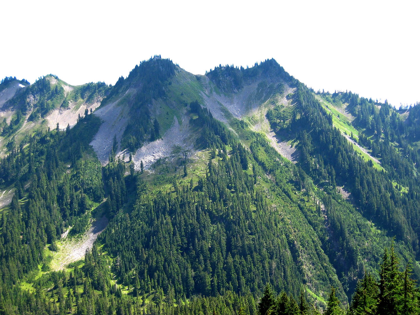 Olympic_National_Park.jpg