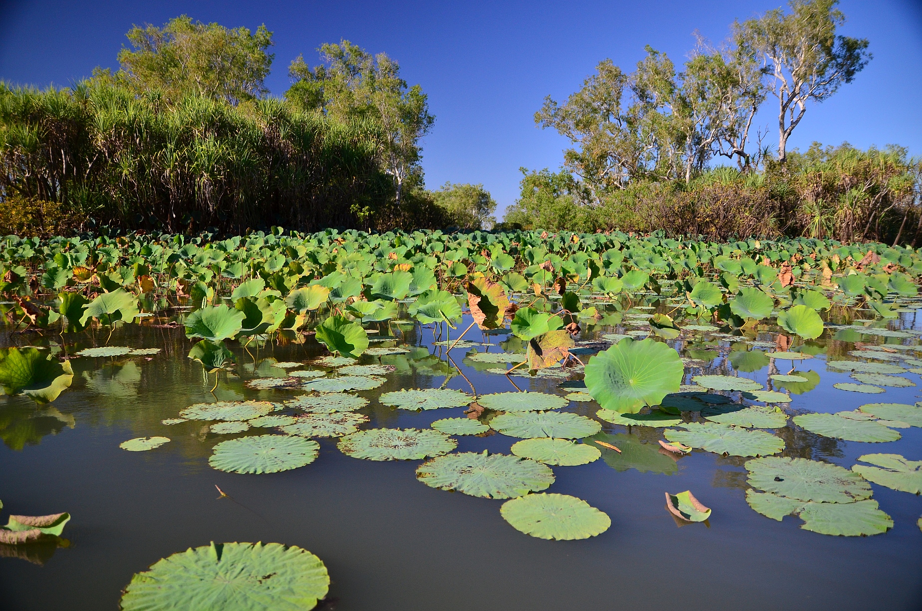 panoramio-111541408.jpg