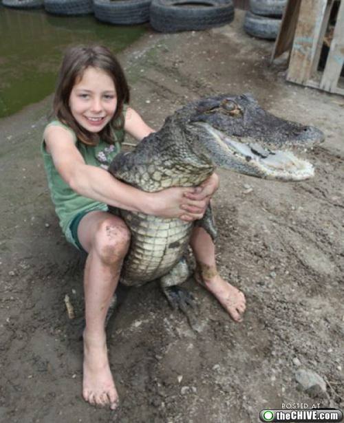 pet-alligator-2.jpg