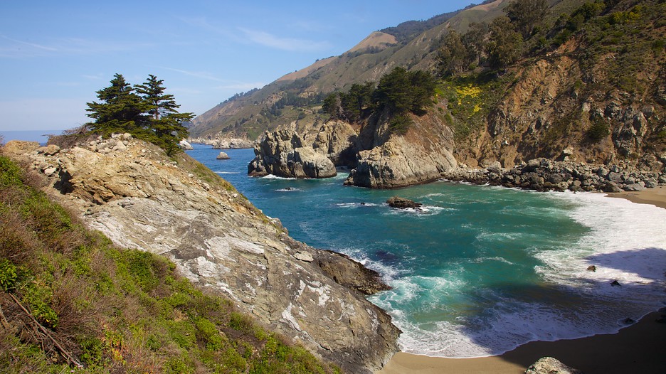 Pfeiffer-Big-Sur-State-Park-26829.jpg