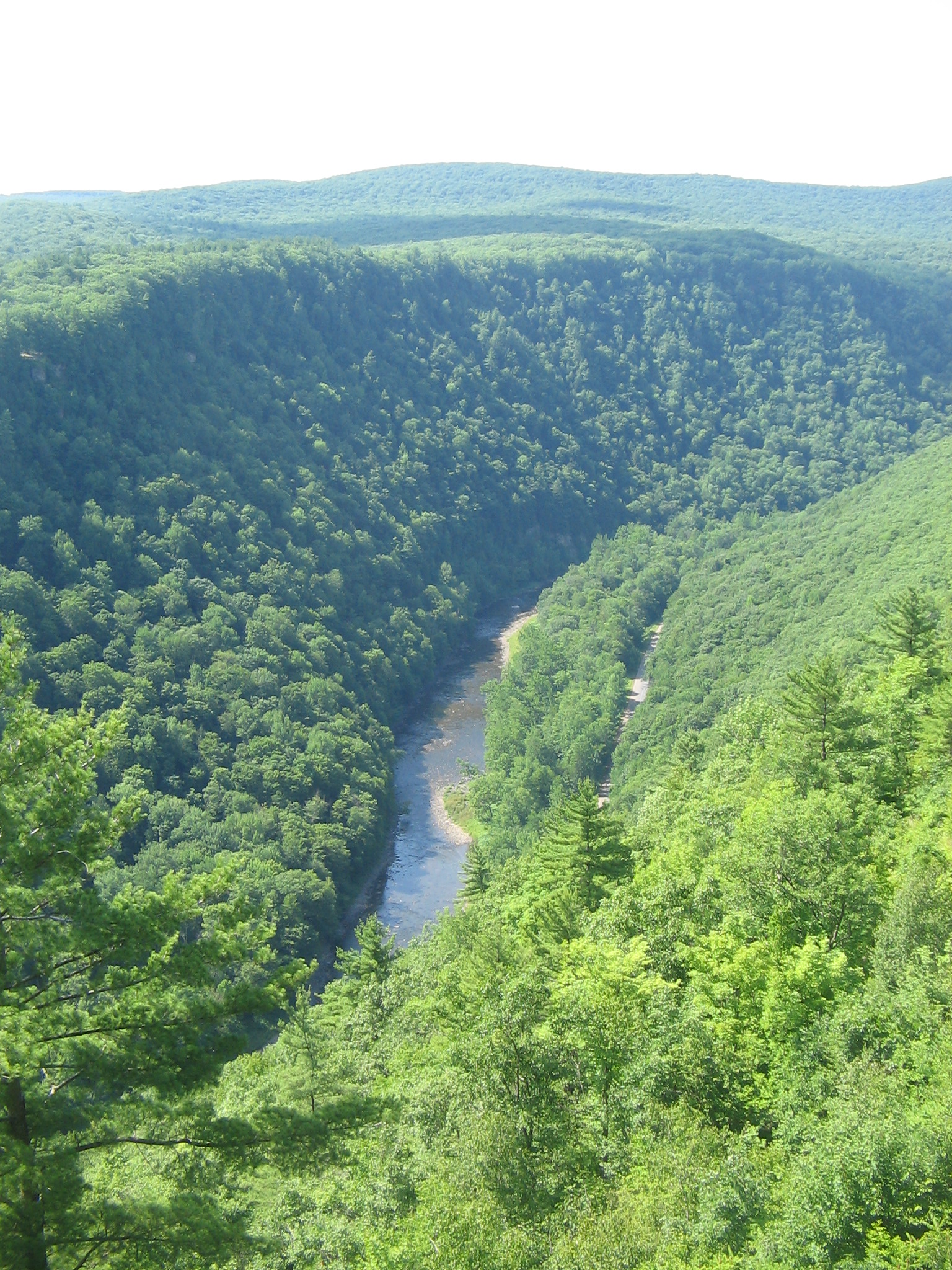 Pine_Creek_Gorge,_north_from_Leonard_Harrison_State_Park.JPG