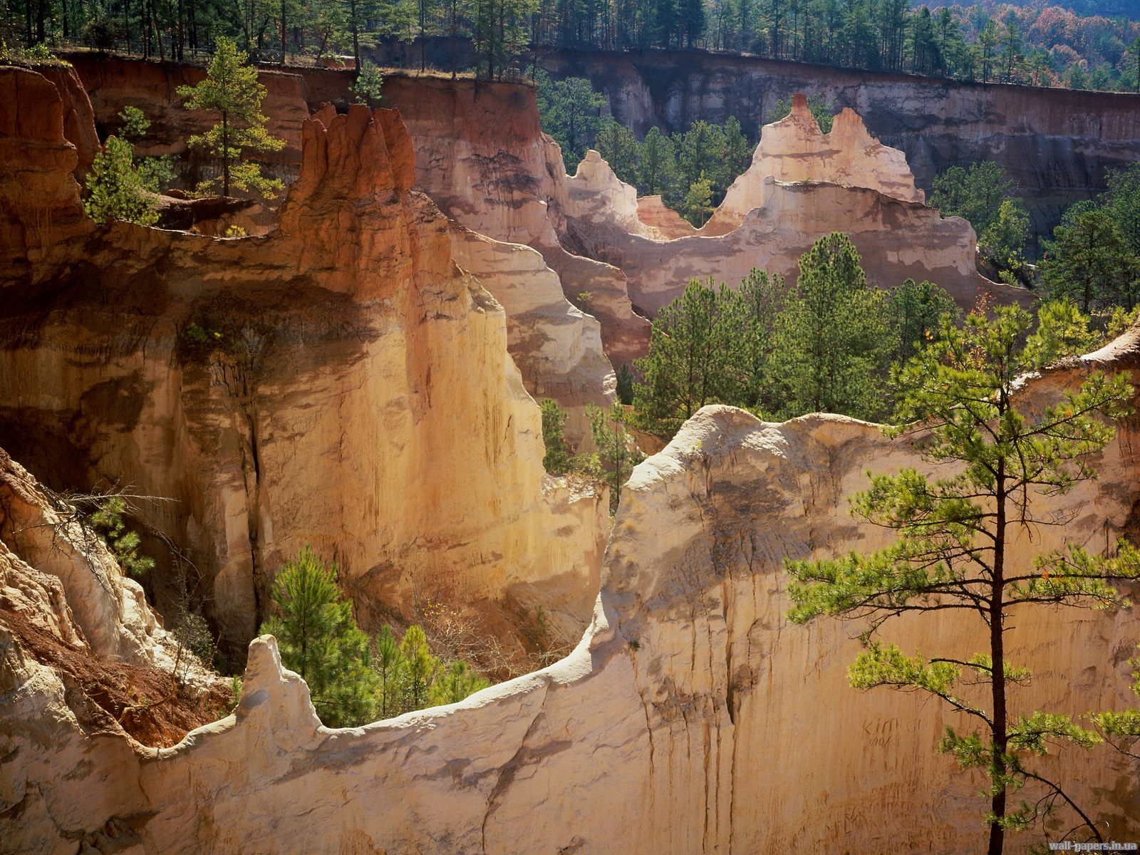 Providence Canyon State Park, Lumpkin, Georgia.jpg