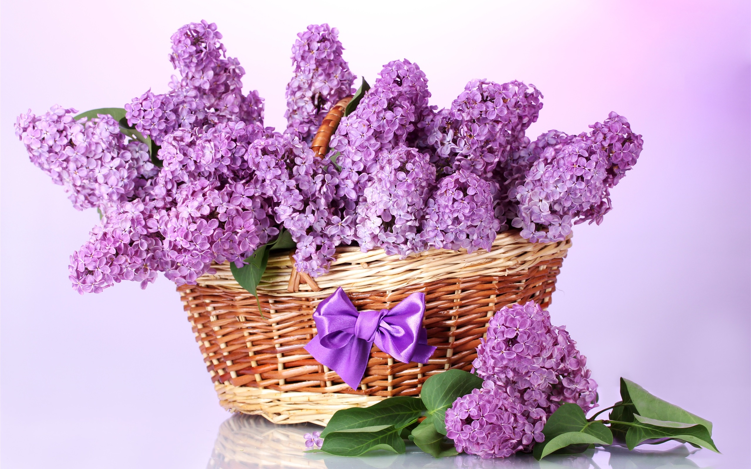 Purple-lilac-basket-flowers_2560x1600.jpg
