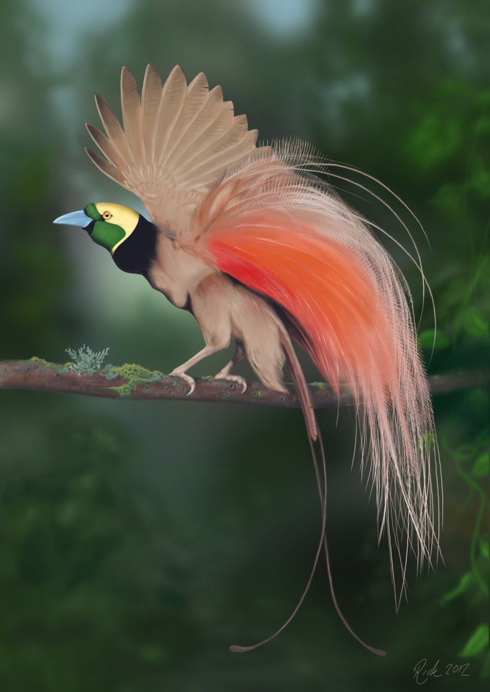 raggiana_bird_of_paradise__photoshop_painting__by_rick_lilley-d5f4zgh.jpg