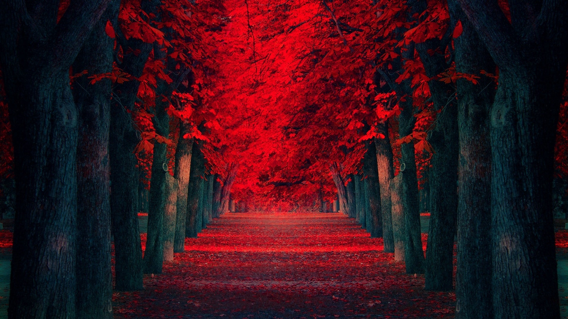 Red-Tree-Desktop-Wallpapers-1920x1080.jpg