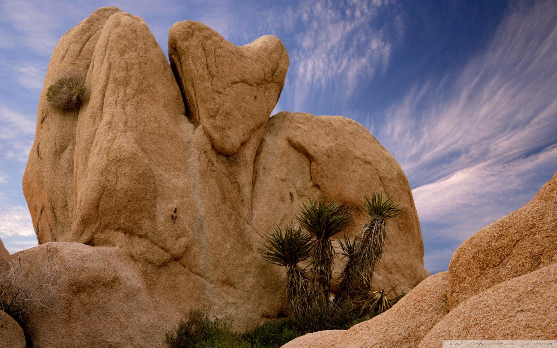 rock_heart_in_joshua_tree_np.jpg