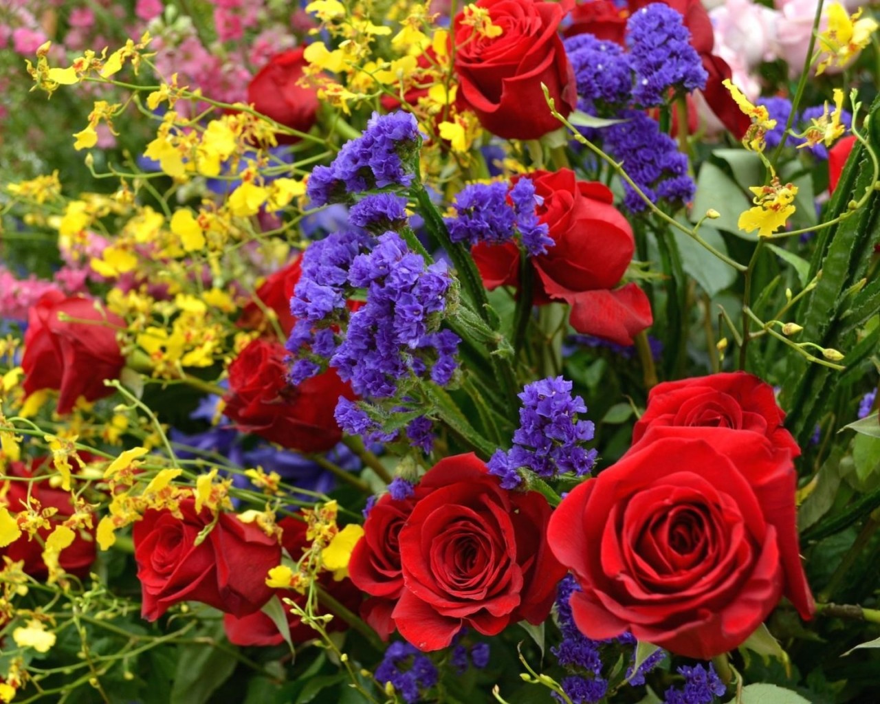 roses_flowers_variety_vibrant_sharpness_62779_1280x1024.jpg