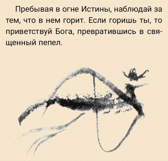 Screenshot_20250427-132237_1.jpg
