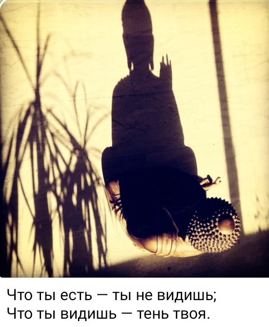 Screenshot_20250720-230327.jpg