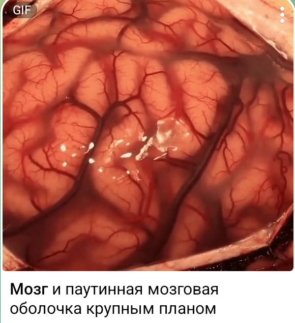 Screenshot_20260906-214931_1.png