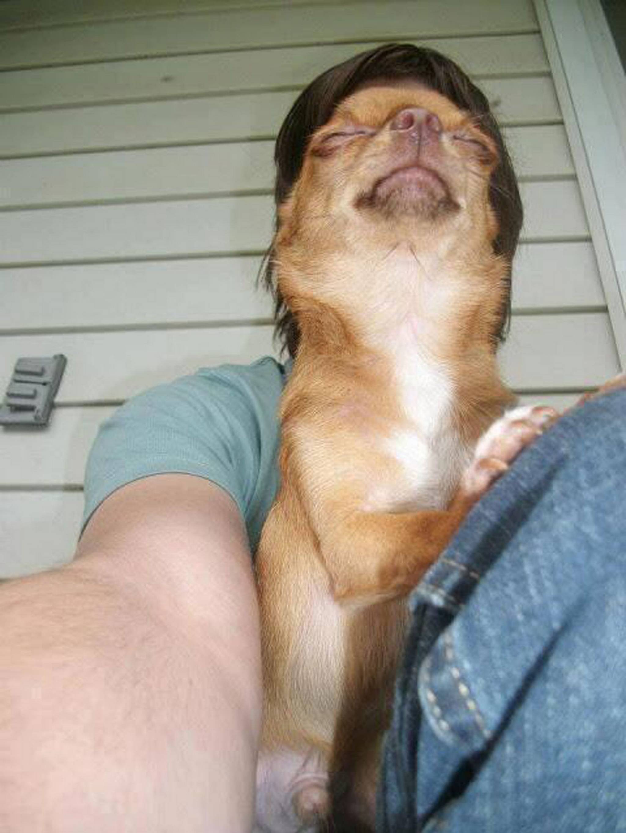 Selfie-Dog.jpg