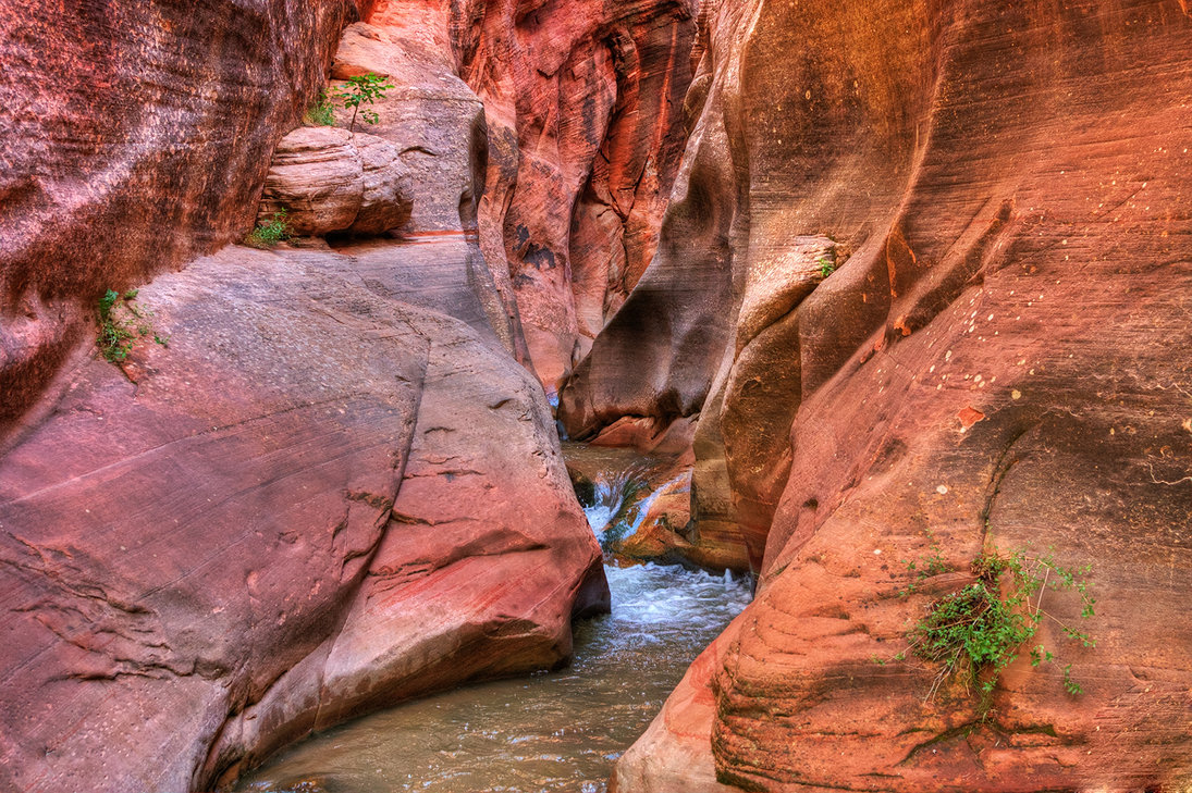 slot_canyon_southern_utah_iii_by_ernieleo-d4j52gf.jpg