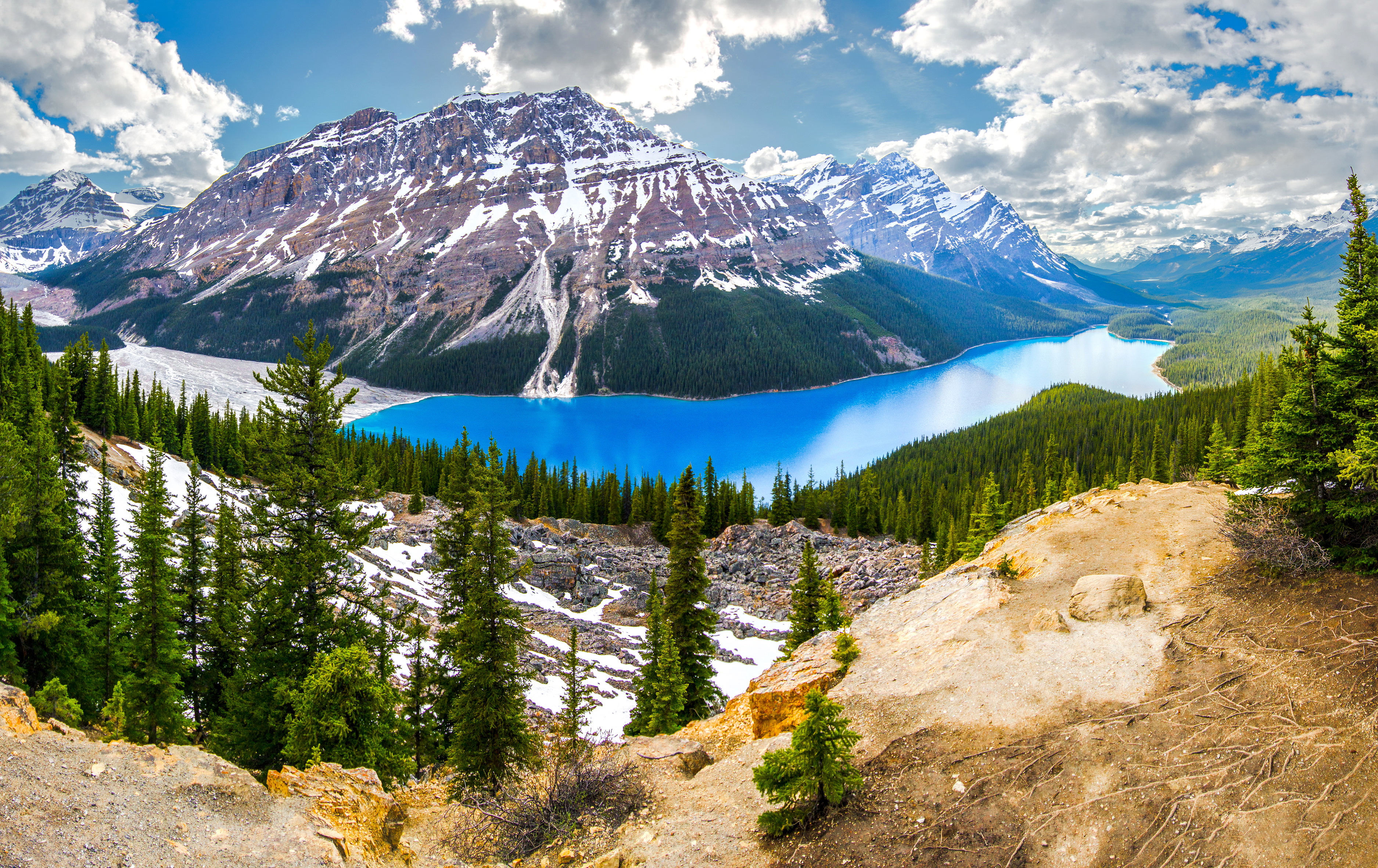 snow-and-green-trees-landscape.jpg