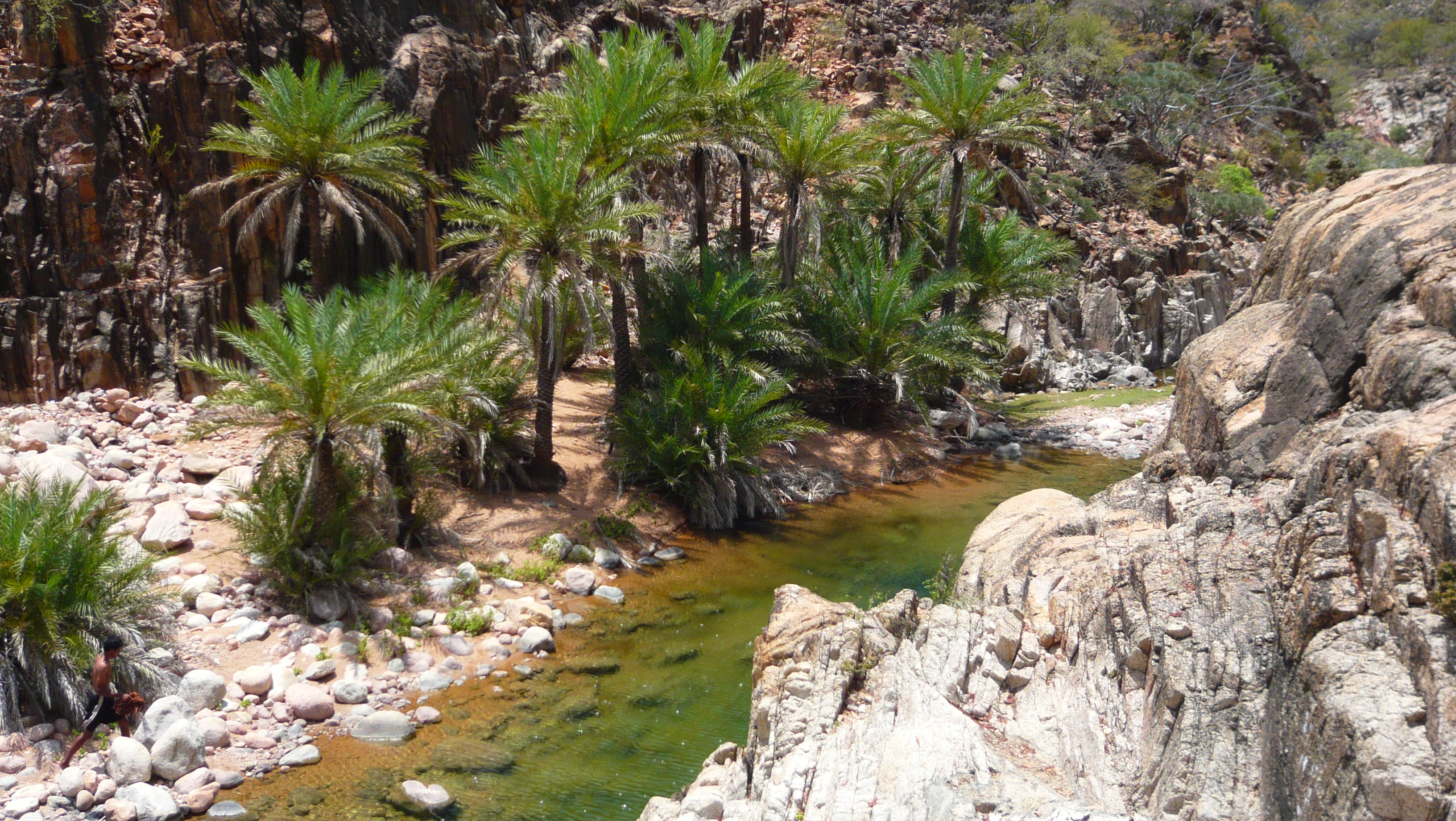 socotra_island_2.jpg