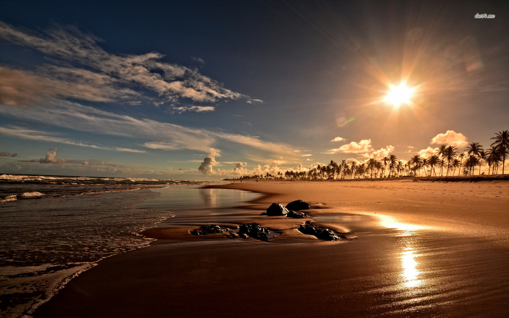 sun-rising-above-the-palm-tree-beach.jpg