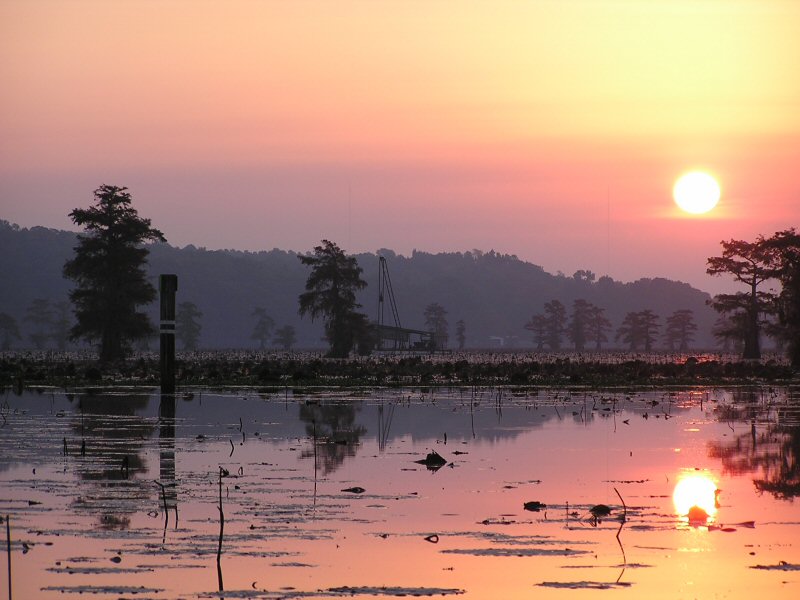 Sunset_On_Caddo_Lake1.jpg