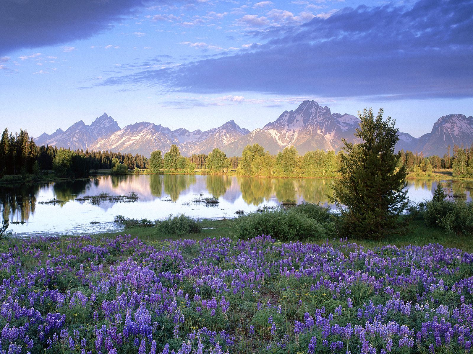 teton range in spring, wyoming.jpg