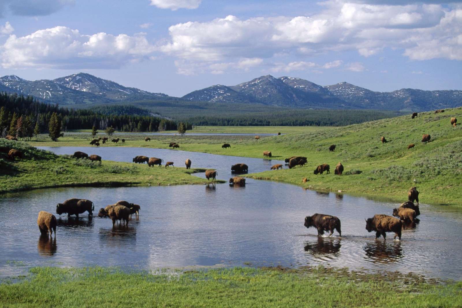 The-Yellowstone-national-park-172.jpg